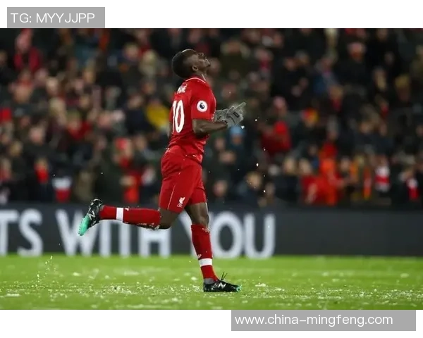 重庆网球队以89分领跑总决赛积分榜展现强大实力