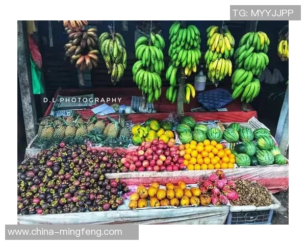 足球明星休闲时光全景视频集锦尽享他们的生活与乐趣